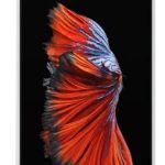 تاچ ال سی دی آیفون 6 اس کپی سفید LCD IPHONE 6S COPY WHITE